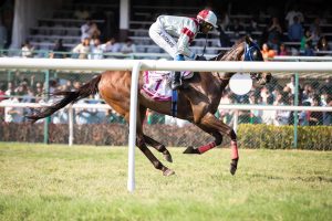 Which Horse Racing Tips India: Pro Tips to Win in India (2026)